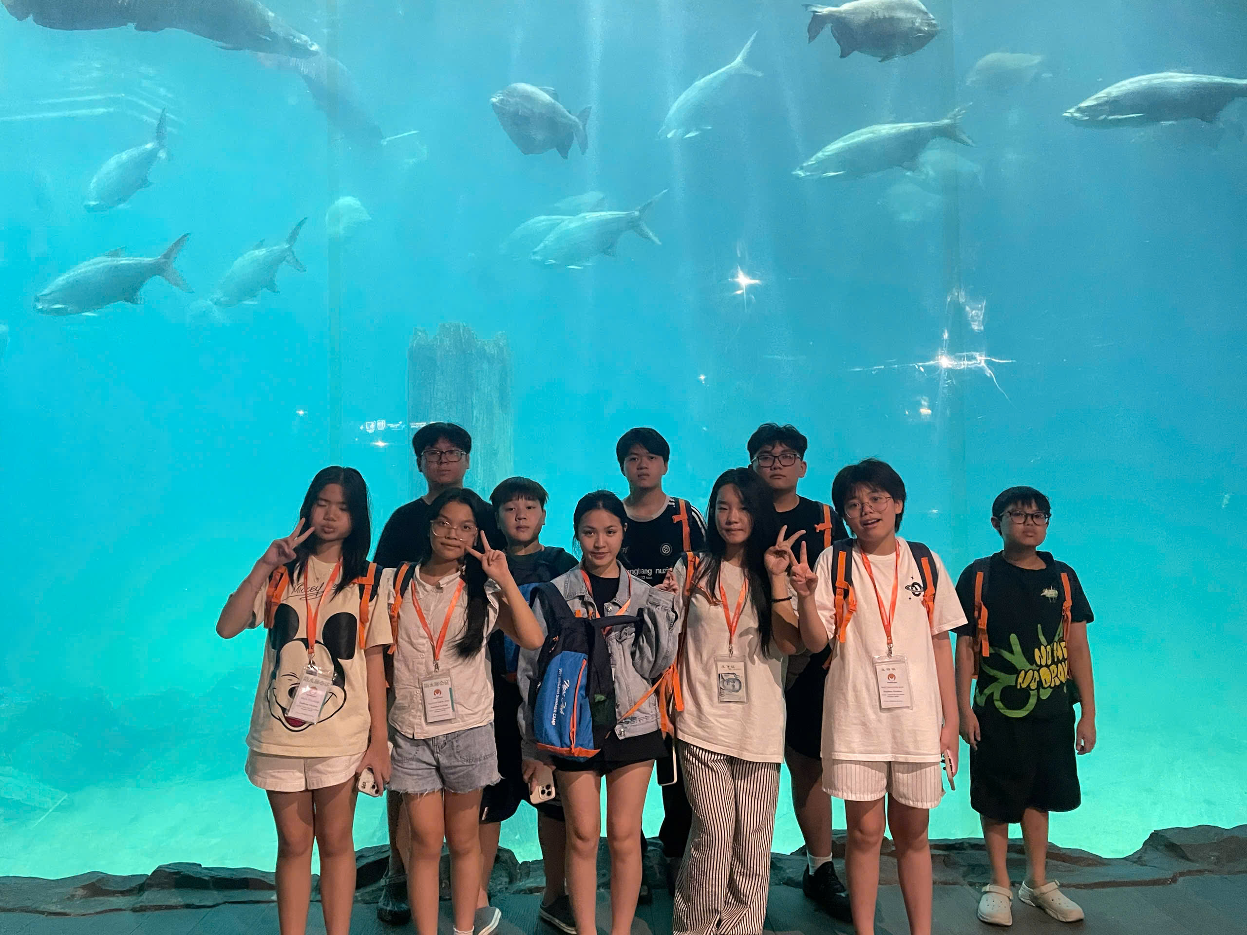 z6734755693877_a3ad51caf14bad6fbad070aa875fe8f2