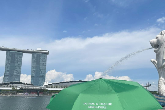 Tại sao nên chọn ở Homestay Vietsing24h