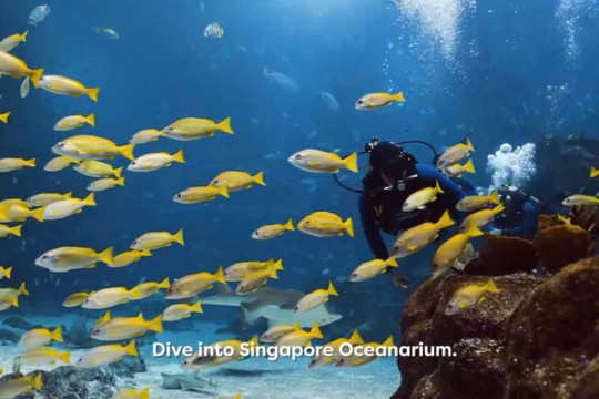 SINGAPORE OCEANARIUM